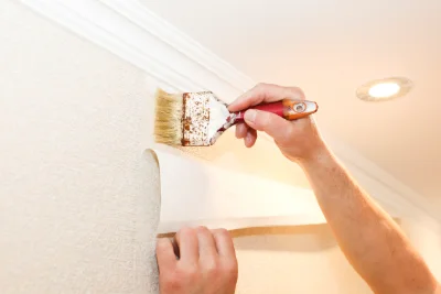 Pose de papier peint à Chambéon — revêtements muraux et toiles de verre